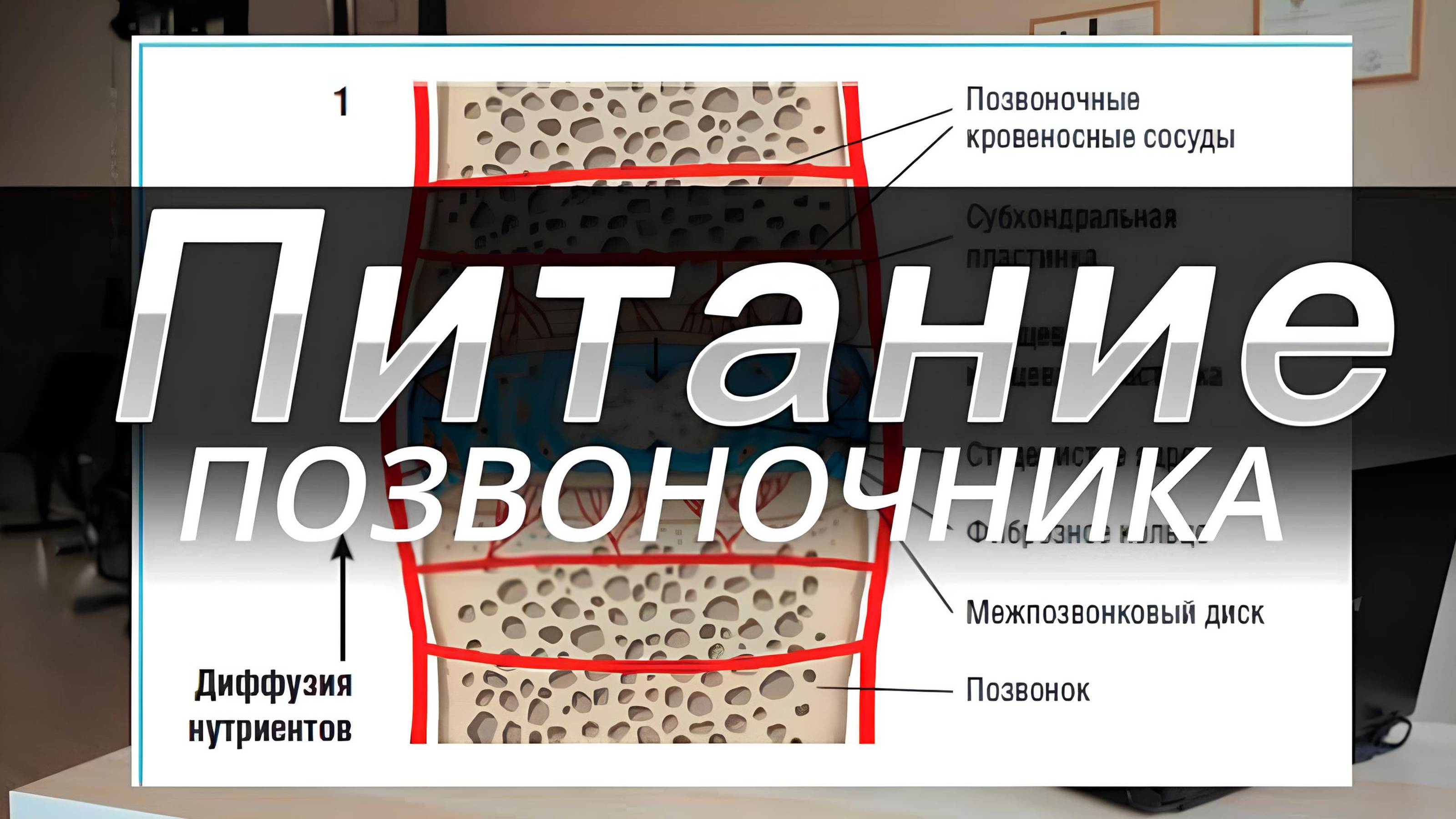Здоровье позвоночника или как уберечь позвоночник от преждевременного старения. смотреть онлайн