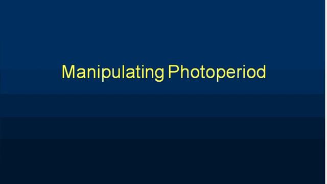 Greenhouse energy efficient production смотреть онлайн