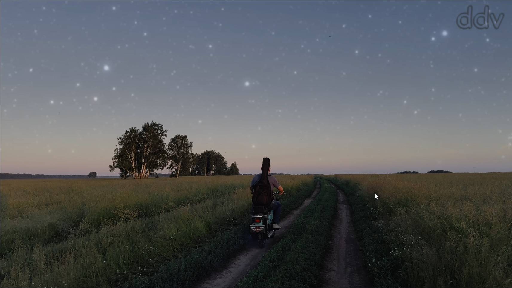 Конь (Выйду ночью в поле...), cover