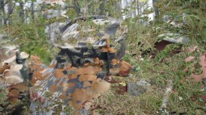 кино про охоту 2016