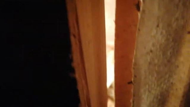 Переводим цыплят в курятник. смотреть онлайн