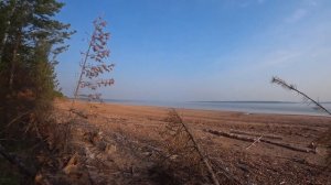 Первый раз с палаткой . На Сузуки Ван Ван 8 июня 2023г