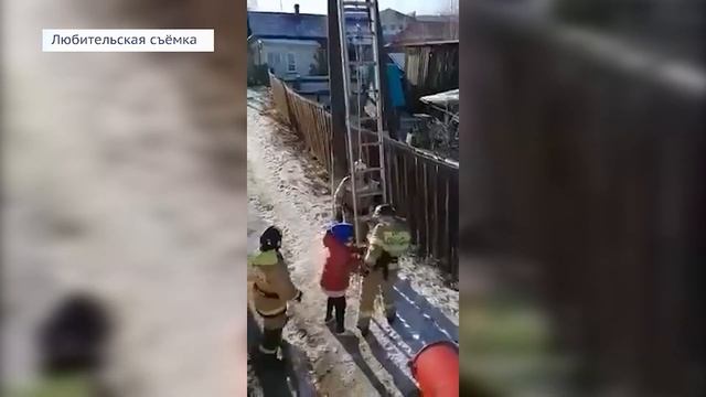 Счастливое спасение кота