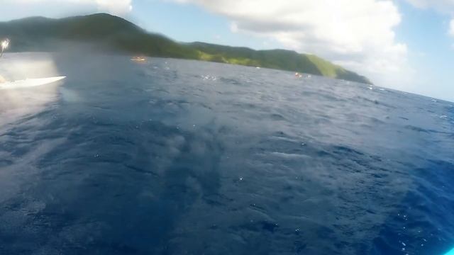 tamarah kayaking смотреть онлайн