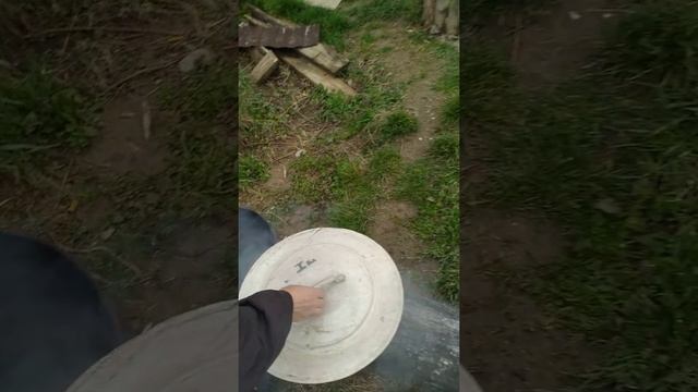 черноморская ставридка холодного копчения