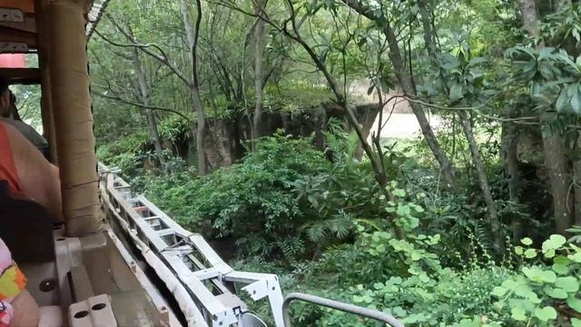 Сафари Аттракцион | Safari Ride | в Парке Царство Животных,  Мире Диснея,  Орландо, Флорида, США