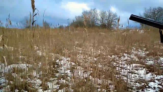 Кутан Дагестанский. 2018. #3 смотреть онлайн