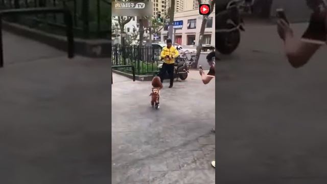 зачем дети если есть ............? смотреть онлайн