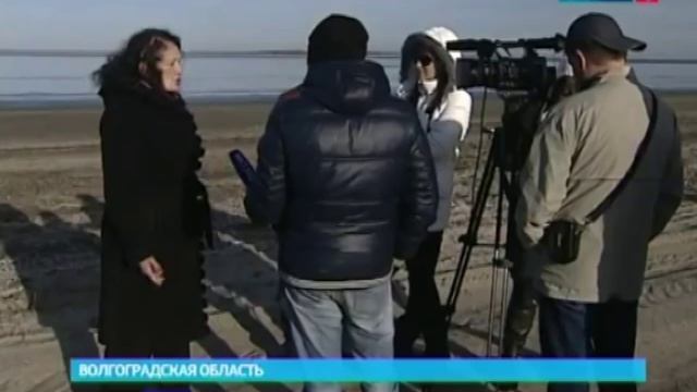 Ученые рассказали о последствиях обмеления Цимлянского водохранилища смотреть онлайн