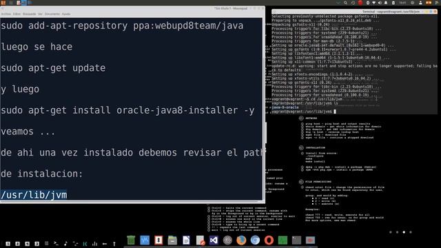Instalando java 8 en maquina virtual xampp смотреть онлайн