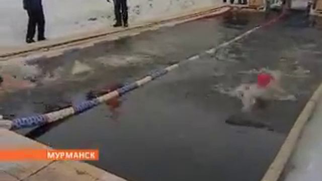 Соревнования моржей на Празднике Севера смотреть онлайн