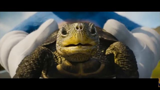 Сонник спас черипаху! смотреть онлайн