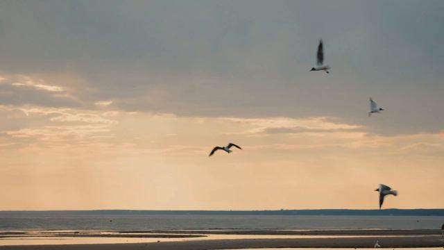Про пышки, пузыри, воздушного змея, летний залив и большую любовь смотреть онлайн