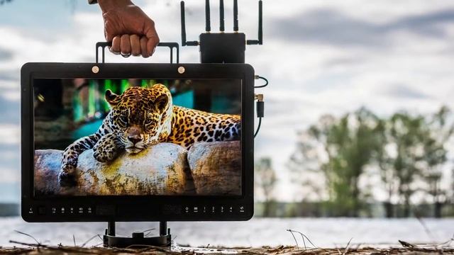 HDR Production Monitors by SmallHD HD смотреть онлайн