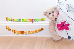 Веселый свадебный подарок для молодожен от  родителей белый медведь аниматор