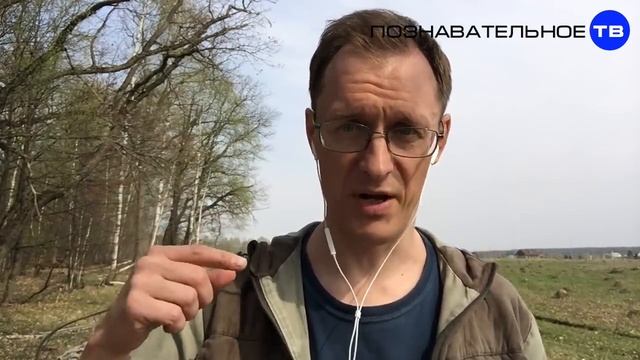 Община или сообщество? (Познавательное ТВ, Артём Войтенков) смотреть онлайн