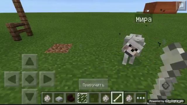 Как дать имя собаке в Minecraft? смотреть онлайн