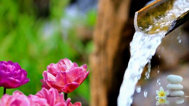 Bamboo Water Flow: Healing Music for Meditation, Stress Relief, and Love Attraction #HealingMusic смотреть онлайн