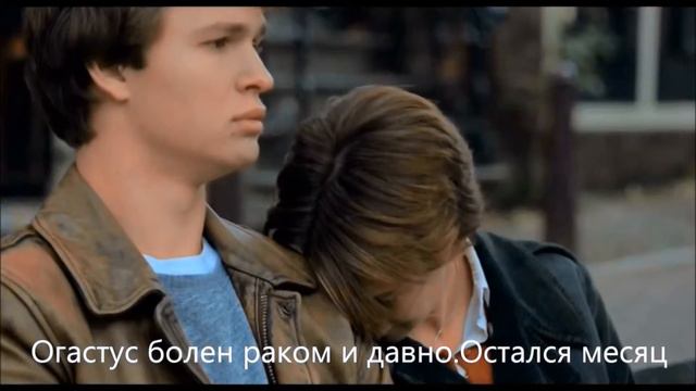 Буктрейлер к роману Джона Грина «Виноваты звезды»