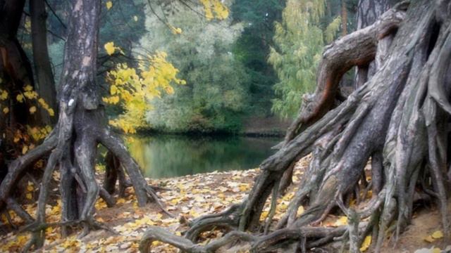 Wow Photos that are worth seeing at least once part-45 | Вау Фото которые стоит увидеть хотя бы раз смотреть онлайн