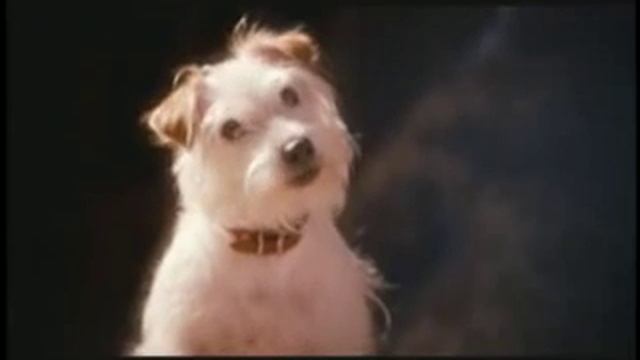 Hotel for Dogs Movie Review смотреть онлайн