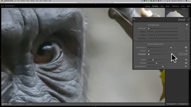 How to PROPERLY Sharpen & Reduce Noise in LIGHTROOM смотреть онлайн