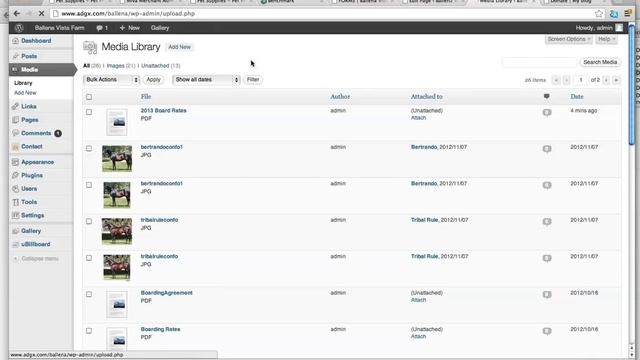 How To Link PDF file in WORDPRESS смотреть онлайн