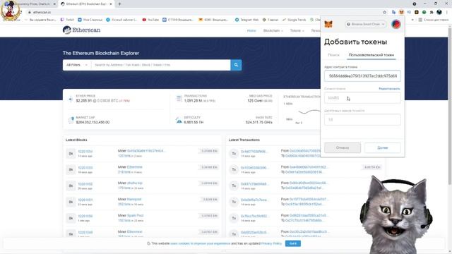 Настройка сети BSC в MetaMask. Добавление пользовательского токена. CoinMarketCap аналитика. смотреть онлайн