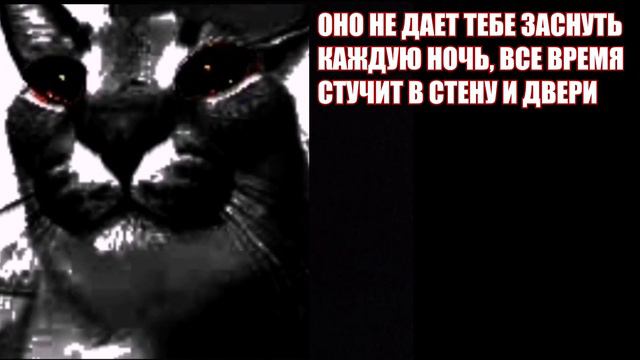 Когда дома происходят странные вещи... смотреть онлайн