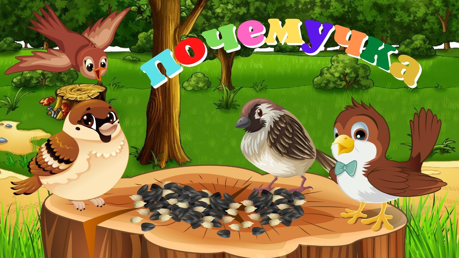 0+ Воробьи. Интересные факты. Почемучка. Детская энциклопедия. смотреть онлайн