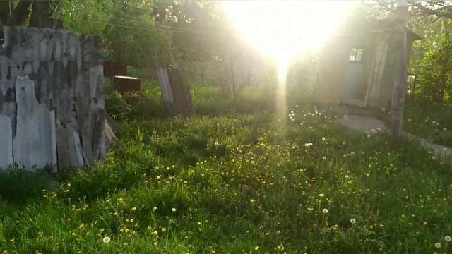 Агентство Ларс. г.Хадыженск . ул. Первомайская. 89183447017 смотреть онлайн