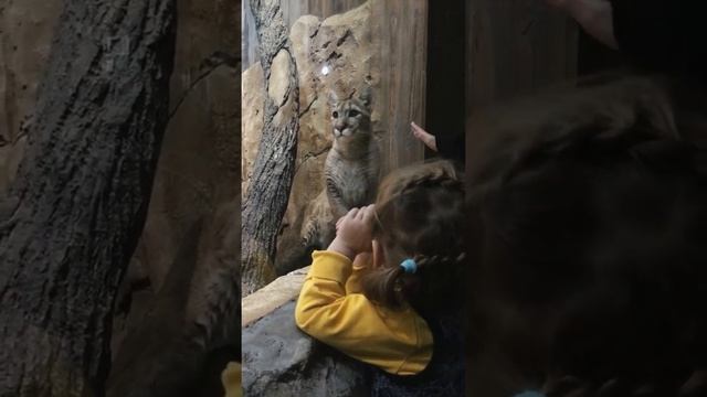 Куда сходить в Воронеже? смотреть онлайн