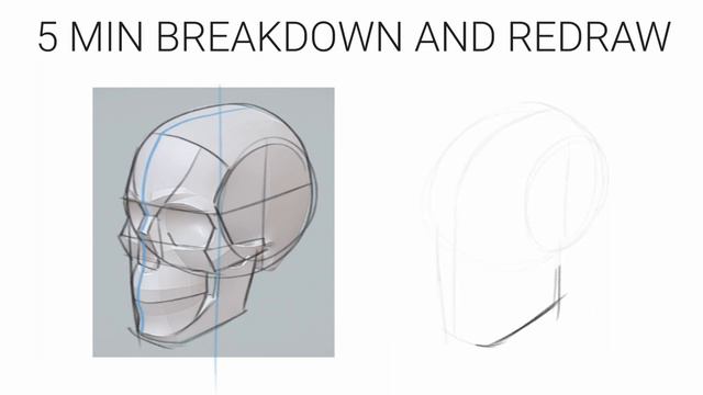How to Draw The Skull | Head Studies Part 1 смотреть онлайн