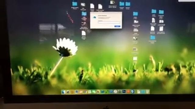 iMac SSD vs. HDD смотреть онлайн