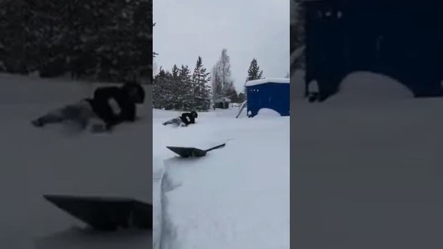 Наконец-то я приехала на свою любимую дачу❤ждать тропинку невтерпёж😄надо скорее добраться до домика