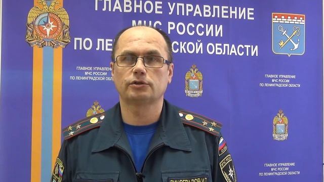 Игорь Виноградов, первый зам.начальника ГУ МЧС России по Ленобласти смотреть онлайн
