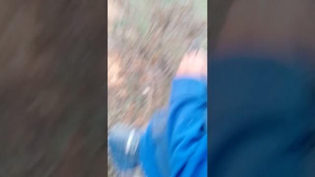 12 сентября 2023 г. смотреть онлайн