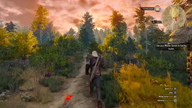 The Witcher 3: Wild Hunt - Griffin Contract- Episode #6 - Let's Play Walkthrough - PS4 смотреть онлайн