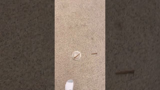 Minelab Equinox 800 Doing What The Deus 2  Does.?￼￼￼ Part 1