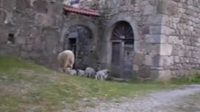 La danse des agneaux ardéchois смотреть онлайн