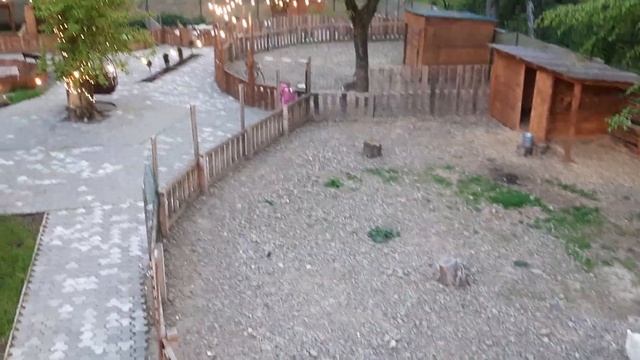 Контактный зоопарк в Ужгороде. смотреть онлайн