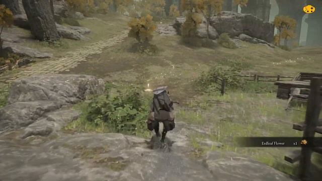 Part 1 Sword Of Night And Flame SNAF Glitchless Build & Run [Elden Ring Current Patch] смотреть онлайн