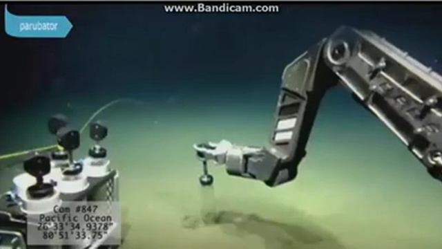 Мегалодон существует! смотреть онлайн