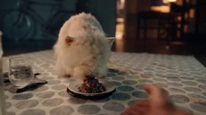 Cesar реклама 2022