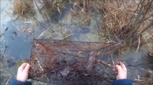 Закрытие охоты по ондатре (Будни охотника и рыбака)