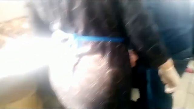 много, много мясо на Бишбармак смотреть онлайн