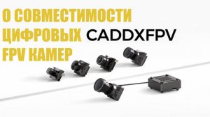 О совместимости цифровых FPV камер Caddx Walksnail Avatar