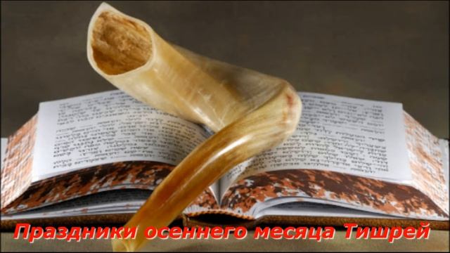 Olga Kvasova – (Класс 1 А) – Праздники осеннего месяца Тишрей. смотреть онлайн
