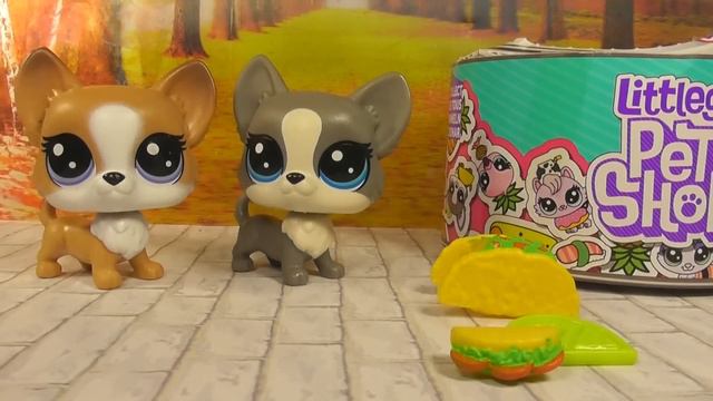 LPS: Нашла в магазине Петов в КОНСЕРВАХ!!!! смотреть онлайн