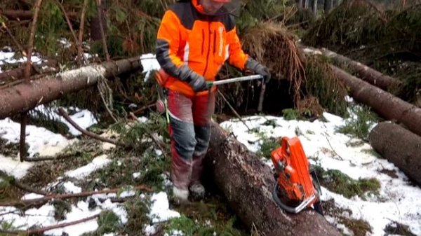 Husqvarna 572 XP HARD WORK!!!HARD CUTTING!!!